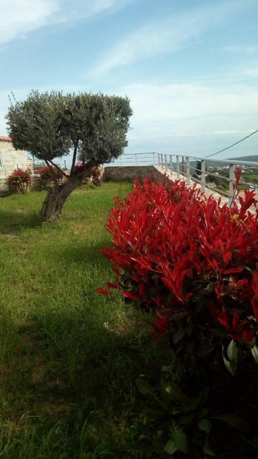 Villa Belair Agia Triada エクステリア 写真