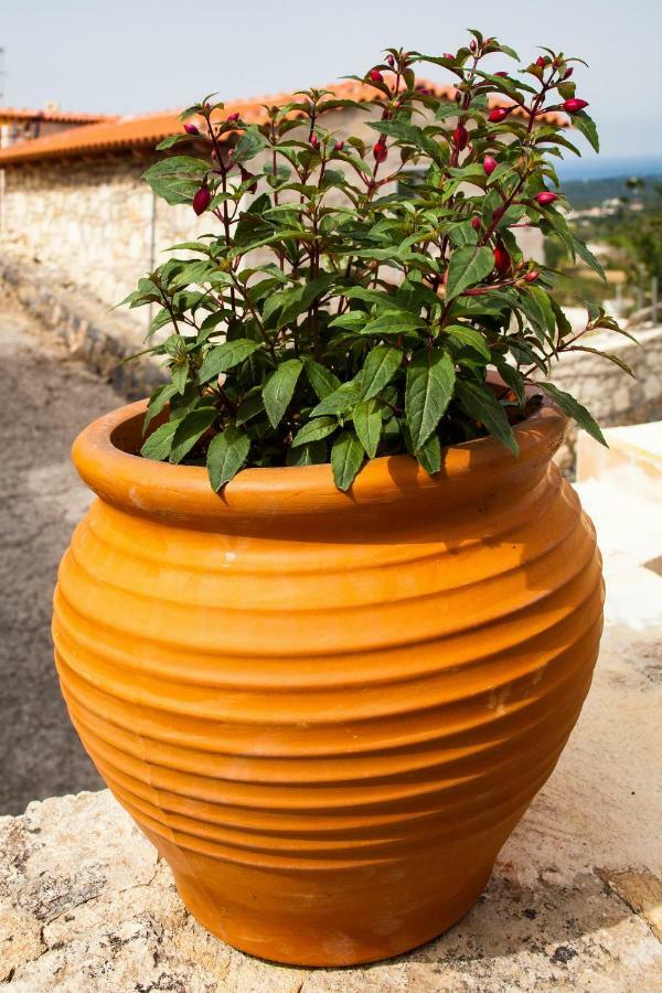 Villa Belair Agia Triada エクステリア 写真